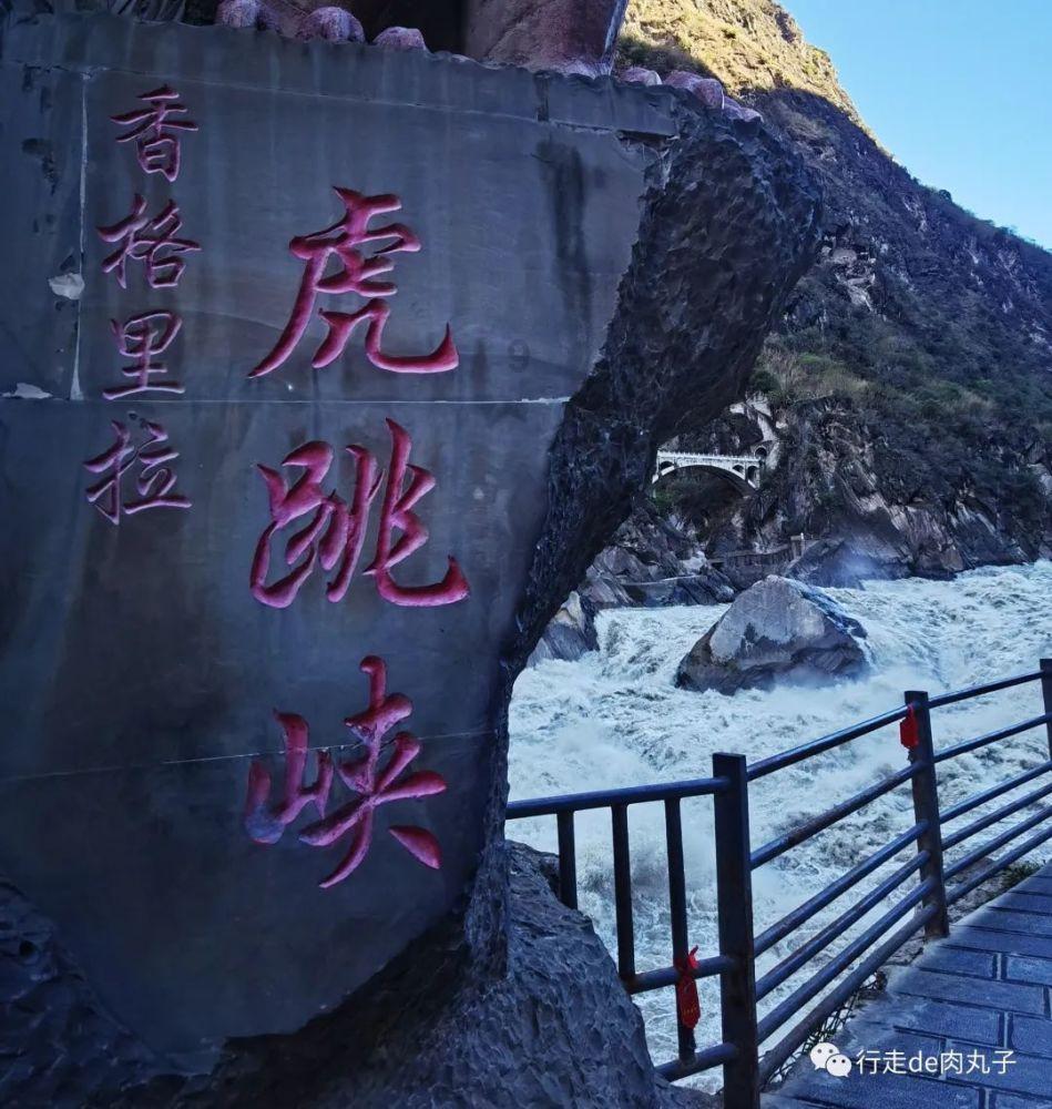 意想不到的旅程